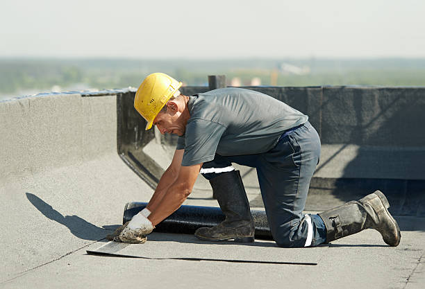 Best Cellulose Insulation in Eureka, MO