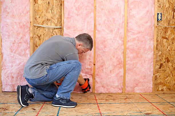Professional Insulation Contractor in Eureka, MO