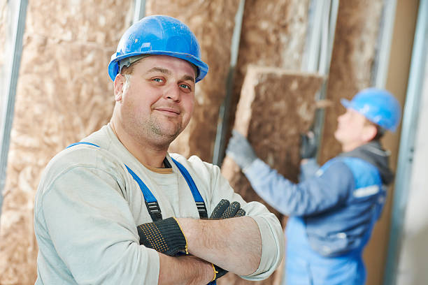 Best Cellulose Insulation in Eureka, MO