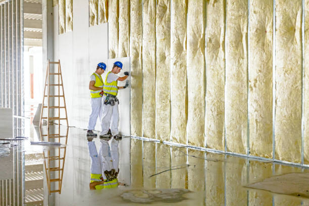 Best Geographic-Specific Insulation Services in Eureka, MO